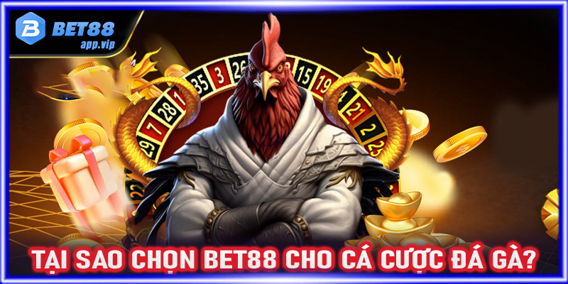 Tại sao chọn Bet88 cho cá cược đá gà?